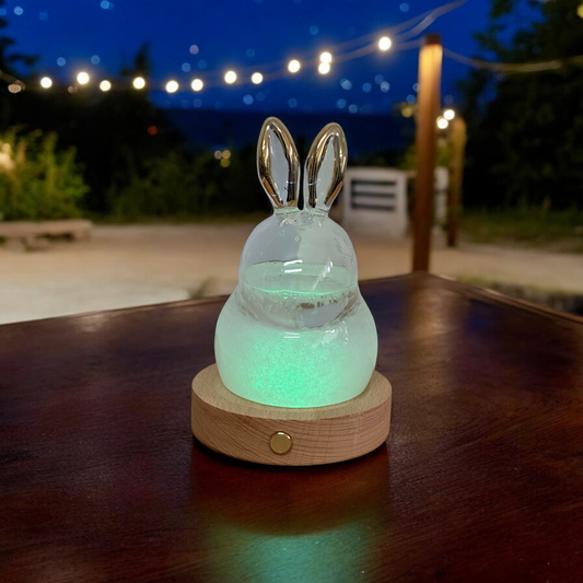 Weather Preception Rabbit - Koki Gifts and Homeware