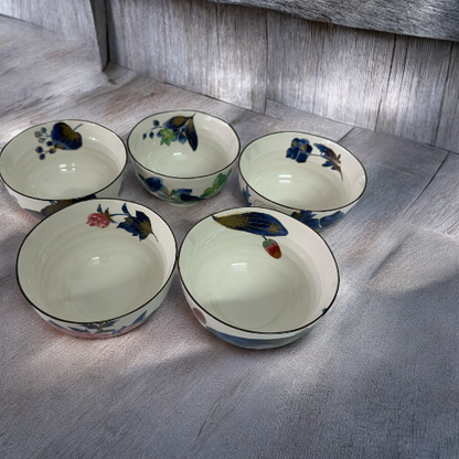 Set of 5 Japan Rice Bowl Hana Chitose