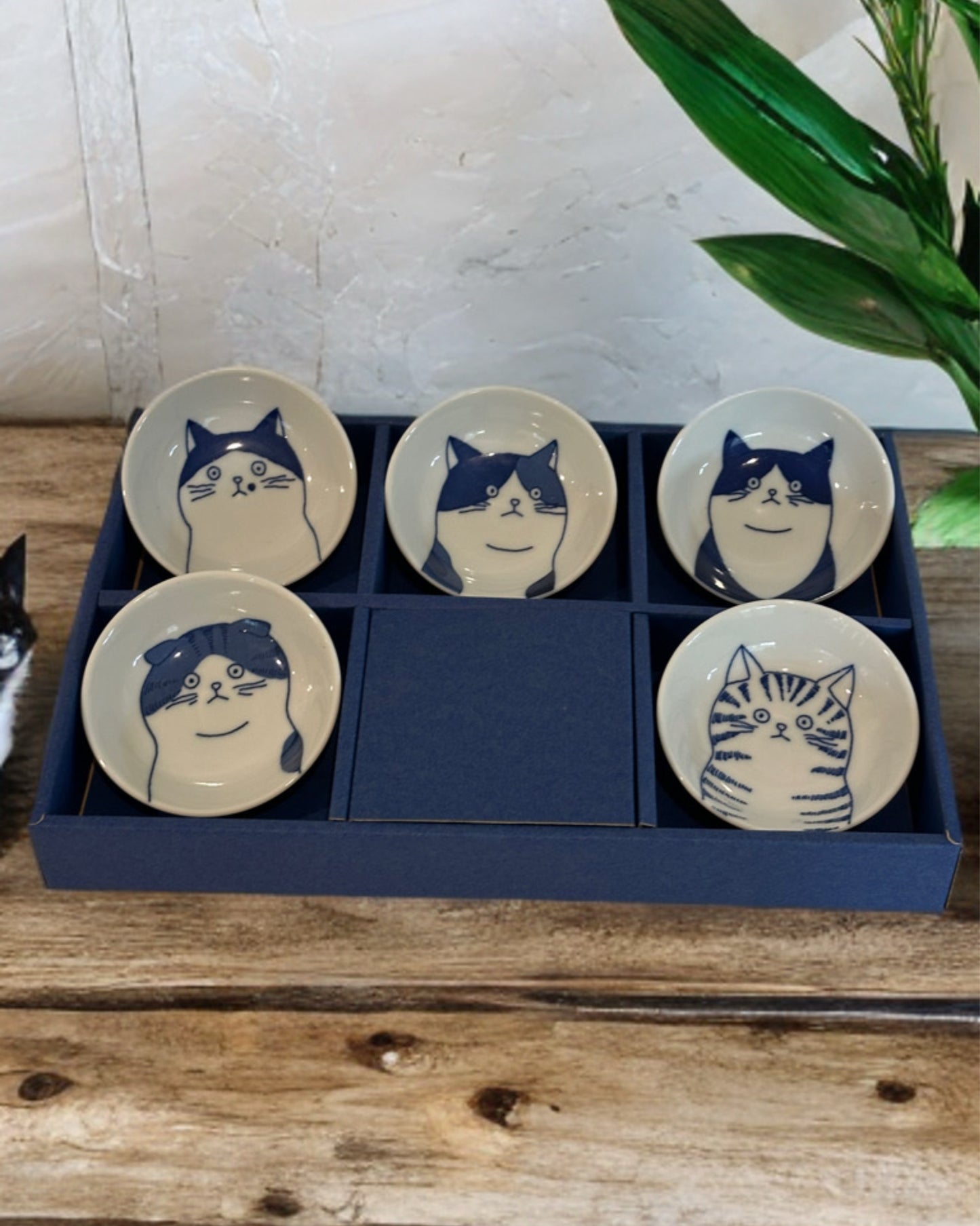 Shichita Cat Series Mini Dish Set (Made in Japan) - Koki Gifts and Homeware